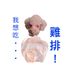 MonkeyMilobabyDog（個別スタンプ：19）