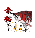 日常熱帯魚アクアリストStamp（個別スタンプ：3）