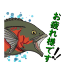 日常熱帯魚アクアリストStamp（個別スタンプ：6）