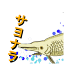 日常熱帯魚アクアリストStamp（個別スタンプ：8）