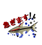 日常熱帯魚アクアリストStamp（個別スタンプ：11）