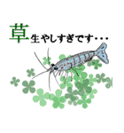 日常熱帯魚アクアリストStamp（個別スタンプ：15）