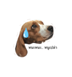 Homdang The Beagle（個別スタンプ：7）