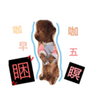 DODO  CUT  DOG（個別スタンプ：2）