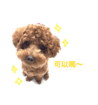 DODO  CUT  DOG（個別スタンプ：6）