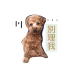 DODO  CUT  DOG（個別スタンプ：7）