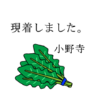 小野寺のビジネスほうれん草（個別スタンプ：4）