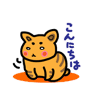 まろまゆねこ（個別スタンプ：11）