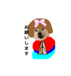 watch over  Dogwan kikki-chan（個別スタンプ：40）