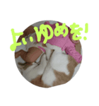 mimi maru（個別スタンプ：7）