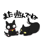 black cat conversation（個別スタンプ：5）