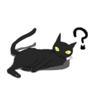 black cat conversation（個別スタンプ：16）