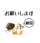 細田さんが使う可愛い子犬の名前スタンプ（個別スタンプ：1）