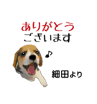 細田さんが使う可愛い子犬の名前スタンプ（個別スタンプ：2）