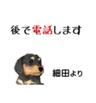 細田さんが使う可愛い子犬の名前スタンプ（個別スタンプ：12）