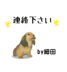 細田さんが使う可愛い子犬の名前スタンプ（個別スタンプ：13）