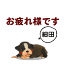 細田さんが使う可愛い子犬の名前スタンプ（個別スタンプ：14）
