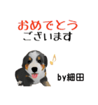 細田さんが使う可愛い子犬の名前スタンプ（個別スタンプ：15）