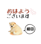 細田さんが使う可愛い子犬の名前スタンプ（個別スタンプ：17）