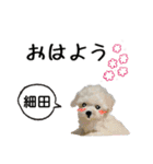 細田さんが使う可愛い子犬の名前スタンプ（個別スタンプ：18）