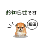 細田さんが使う可愛い子犬の名前スタンプ（個別スタンプ：24）