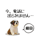 細田さんが使う可愛い子犬の名前スタンプ（個別スタンプ：25）
