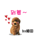 細田さんが使う可愛い子犬の名前スタンプ（個別スタンプ：27）