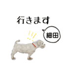 細田さんが使う可愛い子犬の名前スタンプ（個別スタンプ：30）