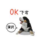 深沢さんが使う可愛い子犬の名前スタンプ（個別スタンプ：6）
