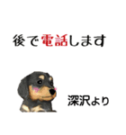 深沢さんが使う可愛い子犬の名前スタンプ（個別スタンプ：12）