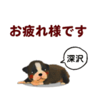深沢さんが使う可愛い子犬の名前スタンプ（個別スタンプ：14）