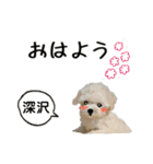 深沢さんが使う可愛い子犬の名前スタンプ（個別スタンプ：18）