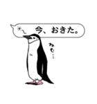 吹き出し ペンギンズ（個別スタンプ：3）