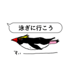 吹き出し ペンギンズ（個別スタンプ：21）