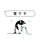 吹き出し ペンギンズ（個別スタンプ：24）