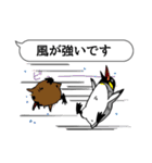 吹き出し ペンギンズ（個別スタンプ：25）