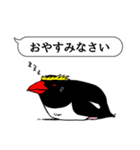 吹き出し ペンギンズ（個別スタンプ：31）