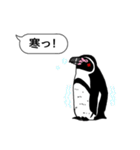 吹き出し ペンギンズ（個別スタンプ：37）