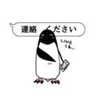 吹き出し ペンギンズ（個別スタンプ：38）