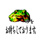 Frog is Go home（個別スタンプ：5）