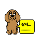 Brown puppy mung（個別スタンプ：2）