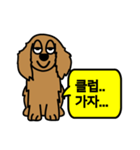 Brown puppy mung（個別スタンプ：6）