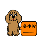 Brown puppy mung（個別スタンプ：22）