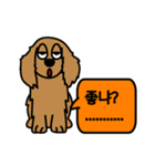 Brown puppy mung（個別スタンプ：23）