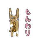 ばんざい猫 大久保用（個別スタンプ：11）