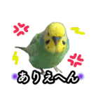 インコのポンちゃん（関西弁）（個別スタンプ：20）