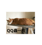 Love Q Cat 2（個別スタンプ：1）