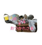 aru-nyan（個別スタンプ：1）