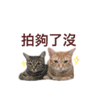 lovely brother＆ sister（個別スタンプ：6）