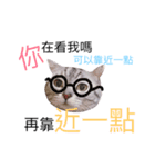 meow-meow kitten（個別スタンプ：15）